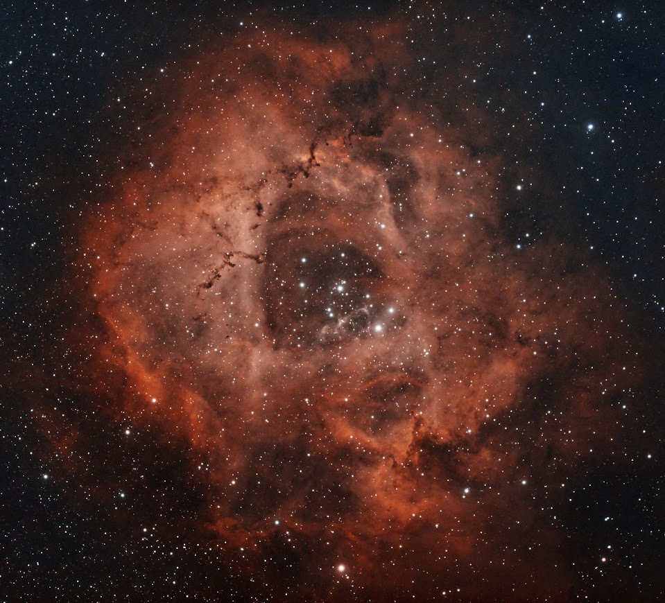 Rosette Nebula